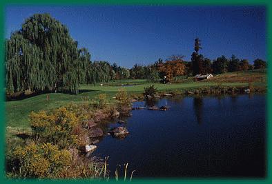 club commonwealth golf memberships national